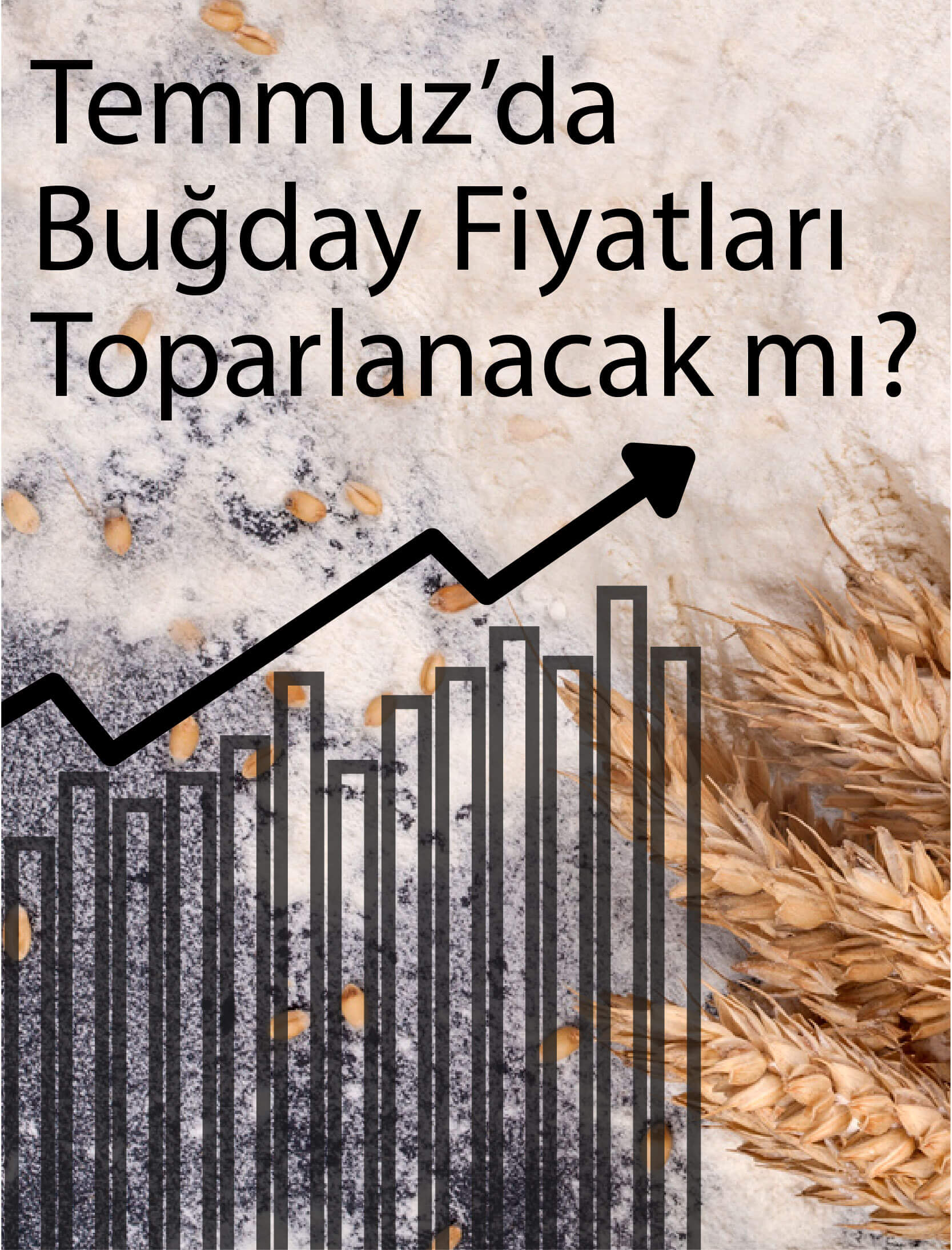 Temmuz'da Buğday Fiyatları Toparlanacak mı?