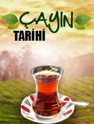 Çayın Tarihi