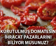 Kurutulmuş Domatesin İhracat Pazarlarını Biliyor musunuz?