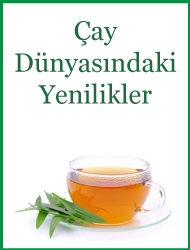 Çay Dünyasındaki Yenilikler 